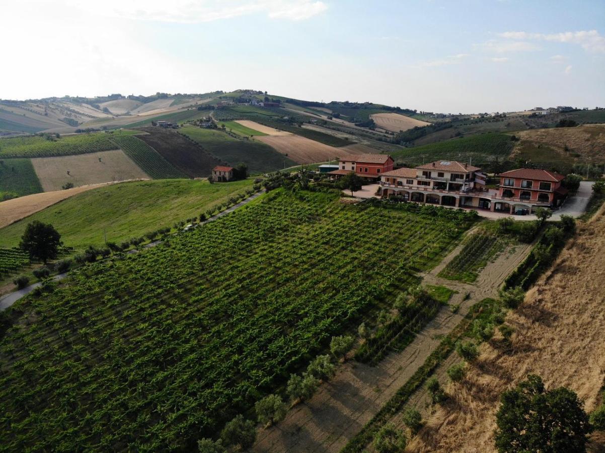 Villa Agriturismo Emidio Pepe Torano Nuovo Exterior foto