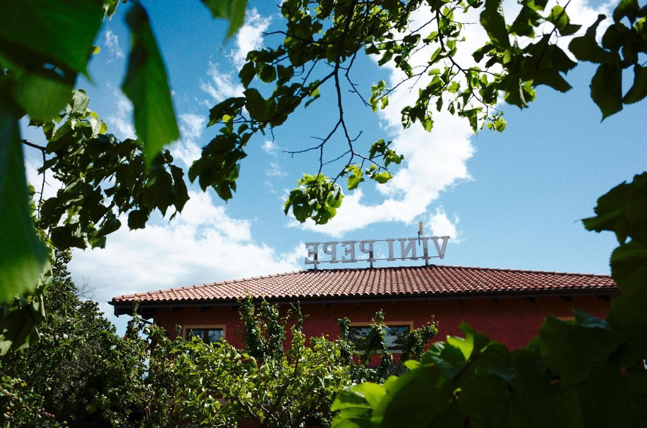 Villa Agriturismo Emidio Pepe Torano Nuovo Exterior foto